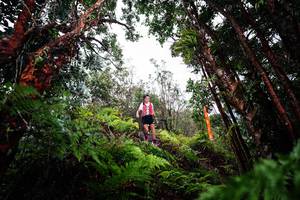 BIB: 
                            <button type="button" onclick="openModal(26202825)" class="btn btn-primary btn-sm float-right btn-popup" data-toggle="modal" data-target=".modal-high-quality">
                        <i class="fas fa-shopping-cart"></i> Add to Cart
                    </button>
                                            <button type="button" onclick="isThisMe(26202825, true)" class="btn btn-success btn-sm float-right btn-popup btn-isme hidden" data-toggle="tooltip" data-placement="bottom" title="นี่คือรูปของคุณใช่ไหม คลิกที่นี่เพื่อเอาเข้าอัลบั้ม">
                        <i class="fas fa-plus"></i> Add to album
                    </button>
                    <button type="button" onclick="isThisMe(26202825, false)" class="btn btn-warning btn-sm float-right btn-popup btn-isnotme hidden">
                        <i class="fas fa-ban"></i> Remove from album
                    </button>